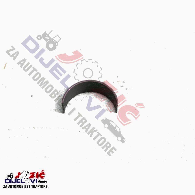 Daisy on the Ohoopee